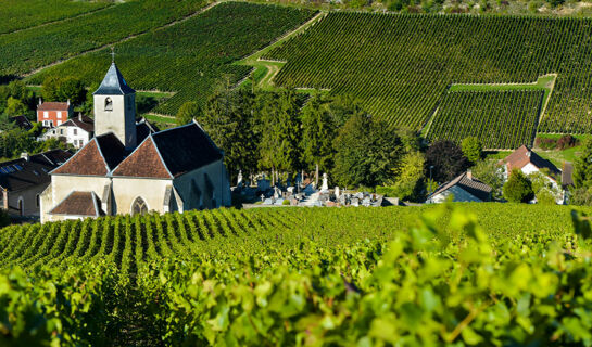 HOTEL LE SAINT-NICOLAS (B&B) Bar-sur-Aube