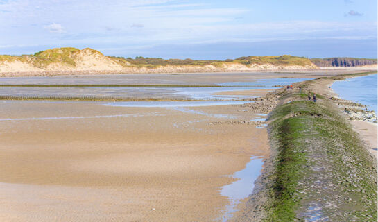 LE DOMAINE DE WAIL Wail