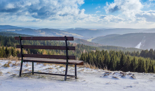 HOTEL ALEXANDRA Plauen
