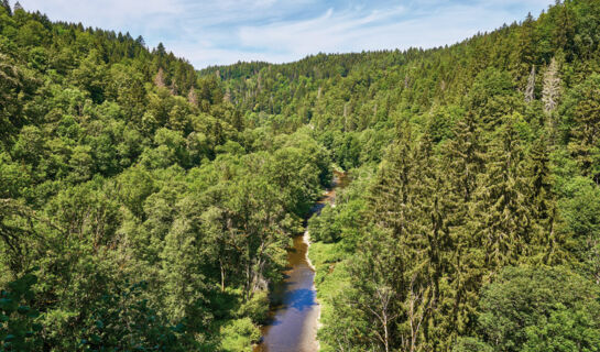 CHALET MOOS (B&B) Todtmoos