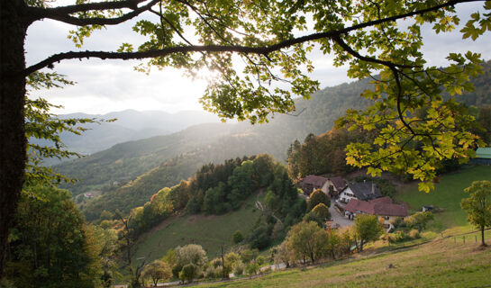 AUBERGE DU MEHRBACHEL Saint-Amarin