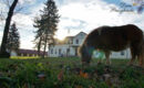 DWOR PREZYDENCKI BOUTIQUE HOTEL&SPA Zgłobice
