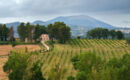 RELAIS PARCO DEI CAVALIERI (B&B) Petrignano di Assisi (PG)