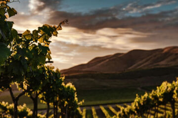 DEVA HOTEL RENCHTALBLICK Oberkirch