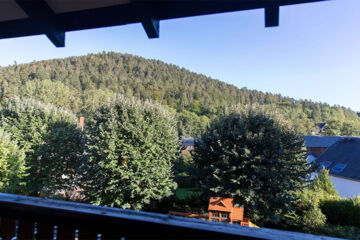 HOTEL LE FREUDENECK Wangenbourg-Engenthal